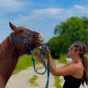 Meet your Posher, Morgan